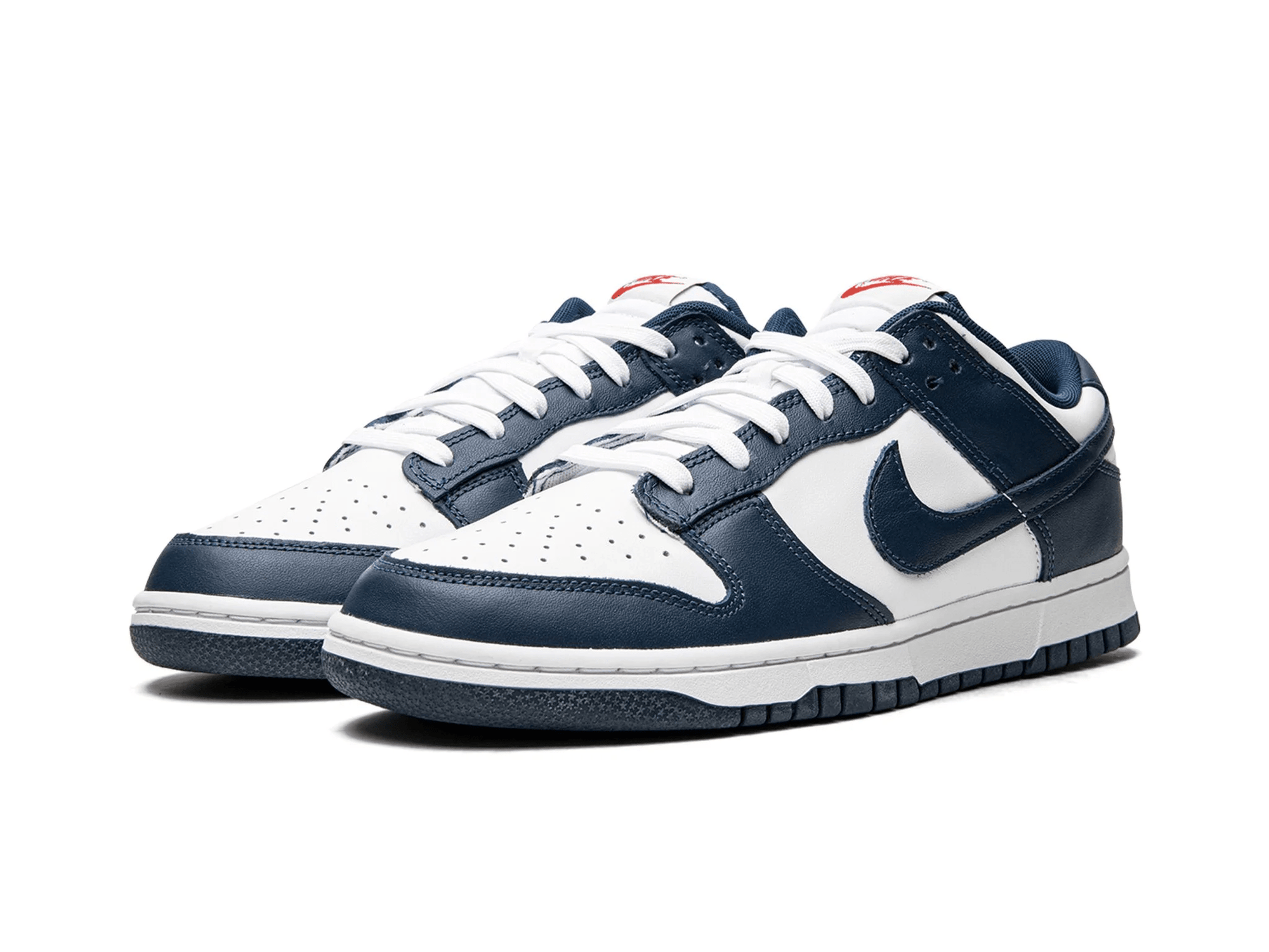 Nike Dunk Low Retro Valerian Blue